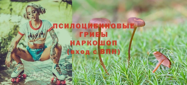 молекула духа Алексин